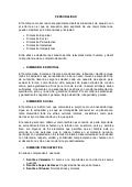 Dimensiones Del Ser Humano