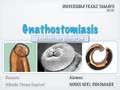 Gnatostomosis