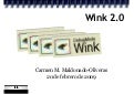 Wink 2.0