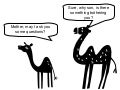 A camel-story