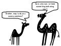  A Camel Story