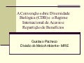 A ConvençãO Sobre Diversidade BiolóGica (Cdb) E O Regime Internacional De Acesso E RepartiçãO De BenefíCios   Gustavo Pacheco
