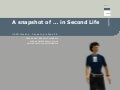 A snapshot of ... in Second Life