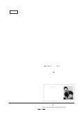 日本獣医学雑誌「わかりやすいカタチ」