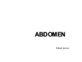 Radiologia. Abdomen