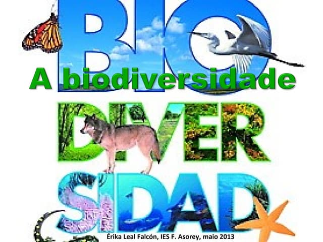 A biodiversidade