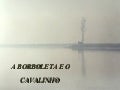 A borboleta e o cavalinho