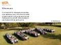 About IITA