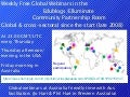 About the webinars