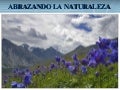 Abrazando La Naturaleza   Capitulo I   SeccióN VI
