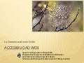 Diseño Web Inclusivo - La comunicación con estilo