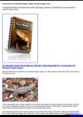 Accessories For Bearded Dragon Cages: bearded dragon care