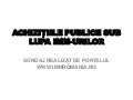 Achizitiile publice sub lupa IMM-urilor