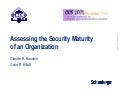 Security Maturity Assessment