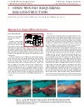 Acs0303 Principles Of Wound Management And Soft Tissue Repair