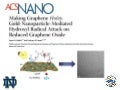 Making Graphene Holey.  Gold-Nanoparticle-Mediated Hydroxyl Radical Attack on Reduced Graphene Oxide