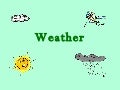 THE WEATHER