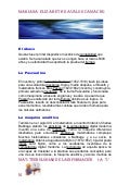 Actividad  6