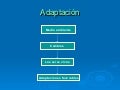 AdaptacióN