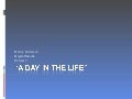 A day in the life