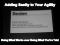 Adding Sanity To Your Agility