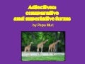 Adjectives: comparative and superlative forms