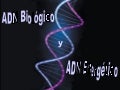 ADN Biologico y ADN Energetico