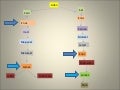 Adán genealogía