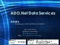Ado.Net Data Services (Astoria)