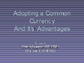 Adopting A Common Currency