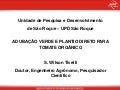 Adubação verde e plantio direto