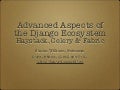 Advanced Aspects of the Django Ecosystem: Haystack, Celery & Fabric