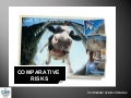 Adventurous aviation comparative risks