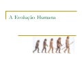 A EvoluçãO Humana