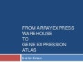 Gene Expression Atlas user interface