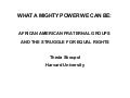 African American Fraternal Groups Talk