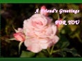 A Friend&rsquo;s Greetings