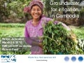 Groundwater for irrigation in Cambodia