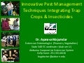 Trap Crops for Insect Pest Management
