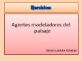 Agentes modeladores del paisaje 