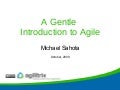 A Gentle Introduction To Agile