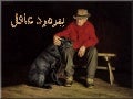 Wise Oldster