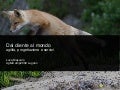 Dal cliente al mondo: agilità, progettazione e servizi