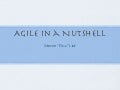 Agile in a nutshell