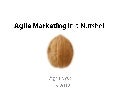 Agile Marketing in a Nutshell