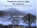 Feedback Loops in Agile Development