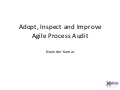 Agile Process Audit