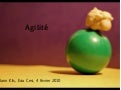Agilité, Exia/Cesi, Février 2010