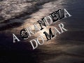 A grandeza do mar