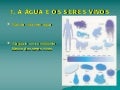 A água